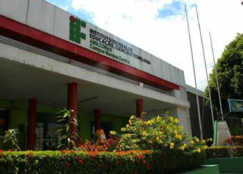 IFAM vai pagar para mulheres fazerem curso em Manaus; Confira oportunidades