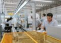 Primeiro Emprego, Assistente de Produção, Auxiliar de Produção, Monitor, Qualidade e Logística