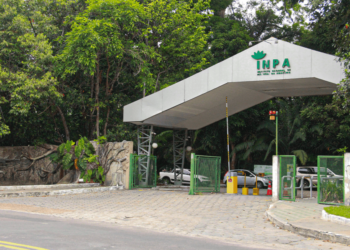 Mais de 40 vagas abertas em programas de pós-graduação do INPA; Confira cursos e saiba como participar