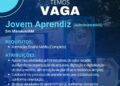 Empresa está selecionando Jovem Aprendiz; Envie seu currículo!