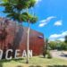 Confira cinco cursos de tecnologia para fazer de graça em Manaus