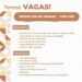 Seleção para vaga de Promotor de vendas; Envie seu currículo!