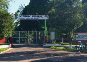 IFAM oferece cursos gratuitos de tecnologia; veja como se inscrever