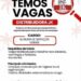 Distribuidora está se Auxiliar de serviços gerais; Envie seu currículo!